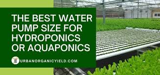 What Is The Best Water Pump Size For Hydroponics Urbanorganicyield Com
