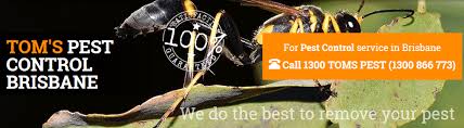 We work well with many companies ranging from food processing plants, restaurants and retail locations in brisbane and its environs to help eliminate pests. The 8 Best Options For Pest Control Services In Brisbane 2021