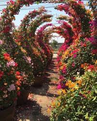 Garden Design News Gardenlovrs Instagram Photos And Videos Belos Jardins Decoracao Jardim Jardinagem E Paisagismo