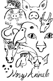 Maybe you would like to learn more about one of these? Animal Noses Remarkabletablet