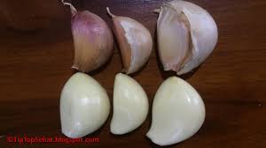 Bawang putih tidak hanya berfungsi sebagai bumbu dapur wajib yang ada di rumah, melainkan juga diyakini bermanfaat untuk kesehatan tubuh anda. Viplist Pro Music Khasiat Bawang Putih Jika Dioleskan Ke Alat Vital