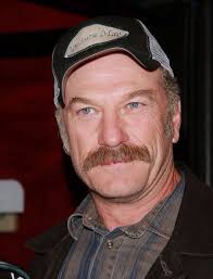 The Assassination Of Jesse James By The Coward Robert Ford Cast Ted Levine Jesse James Famous Stars Actor