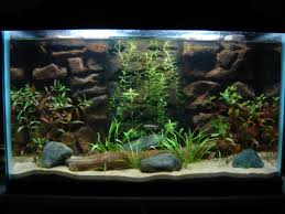 Unduh 7500 Background Aquarium Dengan Styrofoam Terbaik Download Background