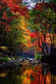 Sellabiz Gr Athens Greece Businesses For Sale Find A Business Or Franchise To Buy Or Lease Autumn Scenery Nature Pictures Nature Photography