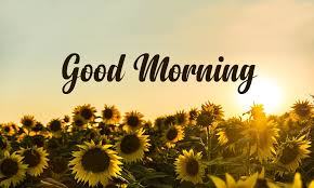 Download hd good morning images 2021 | good morning pictures, wallpapers & photos best collection. 200 Good Morning Messages Wishes Quotes Wishesmsg