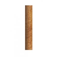 Image result for Afzelia