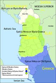 Image result for Vepris macedoi