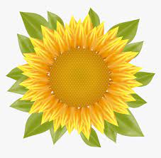 Free Free 326 Vector Clipart Sunflower Png SVG PNG EPS DXF File