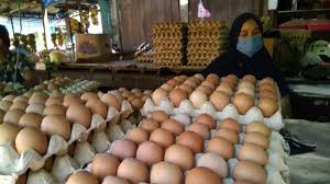 Semoga bermanfaat dan membantu usaha anda. Harga Telur Ayam Di Kalbar Tembus Rp30 00 Per Kg Pemerintah Gelar Pasar Murah Bagian 1