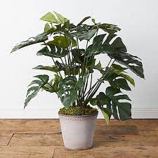 See what customers have to say about. 27 Best Artificial Plants 2021 Beautiful Fake Plants And Flowers