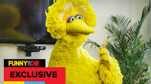 How to deal with a polygraph test. Big Bird Interns At Funny Or Die Youtube