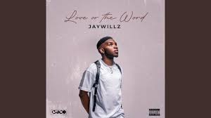 Jaywillz Medicine Lyrics Find Out Lyrics