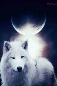 Moon Wolf Wolf Pictures Beautiful Wolves Wolf Images