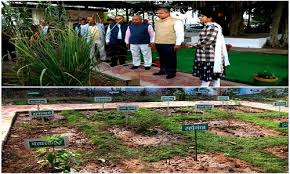 MP Transco develops multipurpose medicinal garden for first time