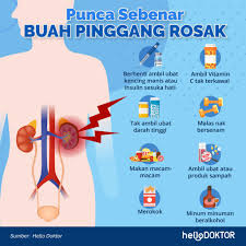 Maybe you would like to learn more about one of these? Penyakit Ginjal Kronik Tanda Punca Rawatan Dan Langkah Pencegahan