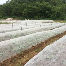 VẢI KHÔNG DỆT UNITIKA & VÒM LUỐNG: GIẢI PHÁP SẢN XUẤT RAU AN TOÀN TIẾT – Thế Giới Nông Nghiệp