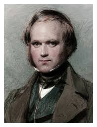 Charles Darwin and the fuchsia