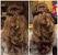 Roller Hairstyle For Wedding