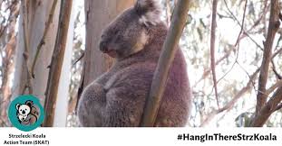 In short, if you're looking for an easy way to make coffee whilst camping, this is the machine for you. Past Events Foem