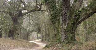 Lee, miles away in virginia.the battle of blakely was a major news event in the coverage of the civil war. Historic Blakeley State Park Alabama Birding Trails