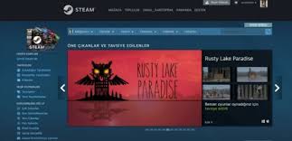 Steam Nedir Ne Ise Yarar Seyahat Fotograf Ordu