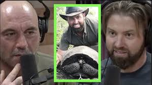 Forrest Galante Rediscovered Extinct Galapagos Tortoise