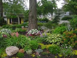 My Garden Color In Massachusetts Garden Design Shade Garden Design Shade Garden Cottage Garden