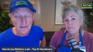 🪴The Best Lavenders for Fragrance and Beauty