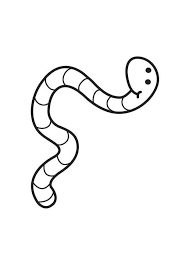 Plus, it's an easy way to celebrate each season or special holidays. Worm Coloring Page Coloring Library