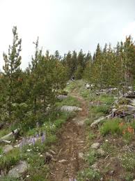 The colville national forest is a u.s. Colville National Forest National Forest Foundation