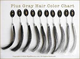 Plus Gray Hair Color Chart Grey Hair Colour Chart Hair Color Chart Grey Hair Color