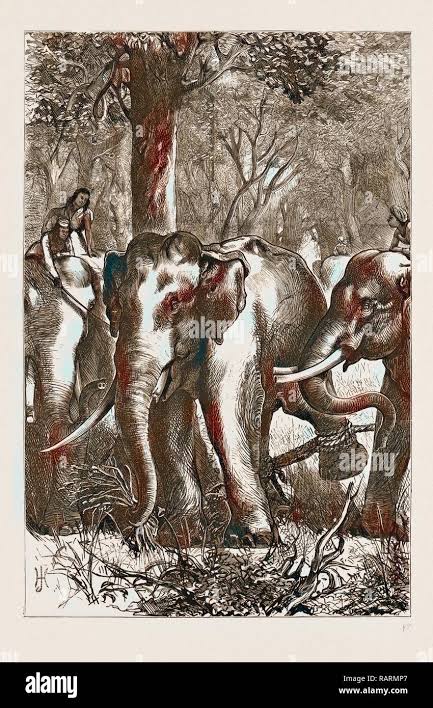 THE PRINCE OF WALES HUNTING IN THE TERAI: SHOOTING A TIGER FROM THE RIVER BANK, 1876. Reimagined by Gibon. Classic reimagined Stock Photo - Alamy
