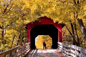 Check spelling or type a new query. Covered Bridge Kiss Covered Bridges Bridge Photo