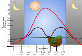 Pengertian Arti Definisi Dari Pengertian Am Dan Pm Pada Penulisan Jam Waktu Tulisan Jam