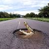 La distancia por carretera entre colombia y buenos aires es de kilómetros. 1
