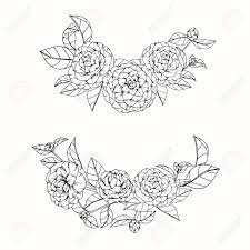 Fleurs De Camelia Dessin Et Croquis Avec Dessin Au Trait Sur Fond Blanc Banque D Images Et Photos Libres De Droits Image 77160172