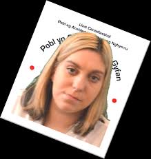 All Wales People First Annual Report April 2015