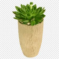 Download icons in all formats or edit them for your designs. Vaso Di Fiori Pianta Succulenta Vaso Di Fiori Fiori Png Pngegg
