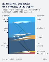 We did not find results for: Mass Deforestation How Trade Fells Trees In Brazil And Indonesia Environment All Topics From Climate Change To Conservation Dw 17 04 2019