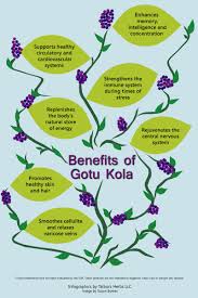 Tattva S Herbs Blog Herbs For Health Healing Herbs Herbs