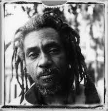 Queimando Filme (Analogue