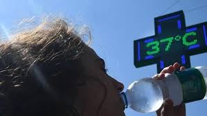 Caldo record: toccati 37 gradi. Scattano i piani di assistenza: più acqua,  ombra e controlli