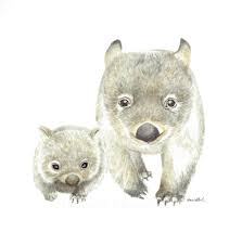 Original Watercolour Wombat Painting 20x20cm Australian Animal Art Original Art Australian Animals Animals Animal Art