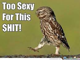 Pin By Ben Nyland On Owl Arious Comedy Wildlife Photography Owl Wildlife Photography