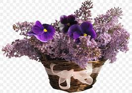 Your flowers arrive fresher and faster, so they last long after they've bloomed. Flowers That Last Forever Rose Artificial Flower Birthday Png 800x581px Flower Artificial Flower Birthday Common Lilac