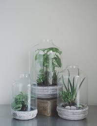 8 Idees Diy Pour Creer Un Terrarium Pour Vos Plantes Shake My Blog Bricolage En Beton Artisanats De Beton Succulentes Deco
