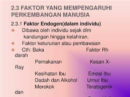 Perkembangan dipengaruhi oleh faktor dan persekitaran. Ppt Fitrah Manusia Powerpoint Presentation Free Download Id 891680