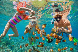 Ultimate Anna Maria Island Travel Guide - Things To Do On Ami - Lost In  Laurel Land