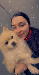 Pet Grooming Professionals in Tracy, CA