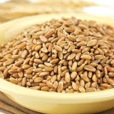 Ayvalik Baharat Bugday Tavuk Guvercin Yemi 3 Kg Fiyati